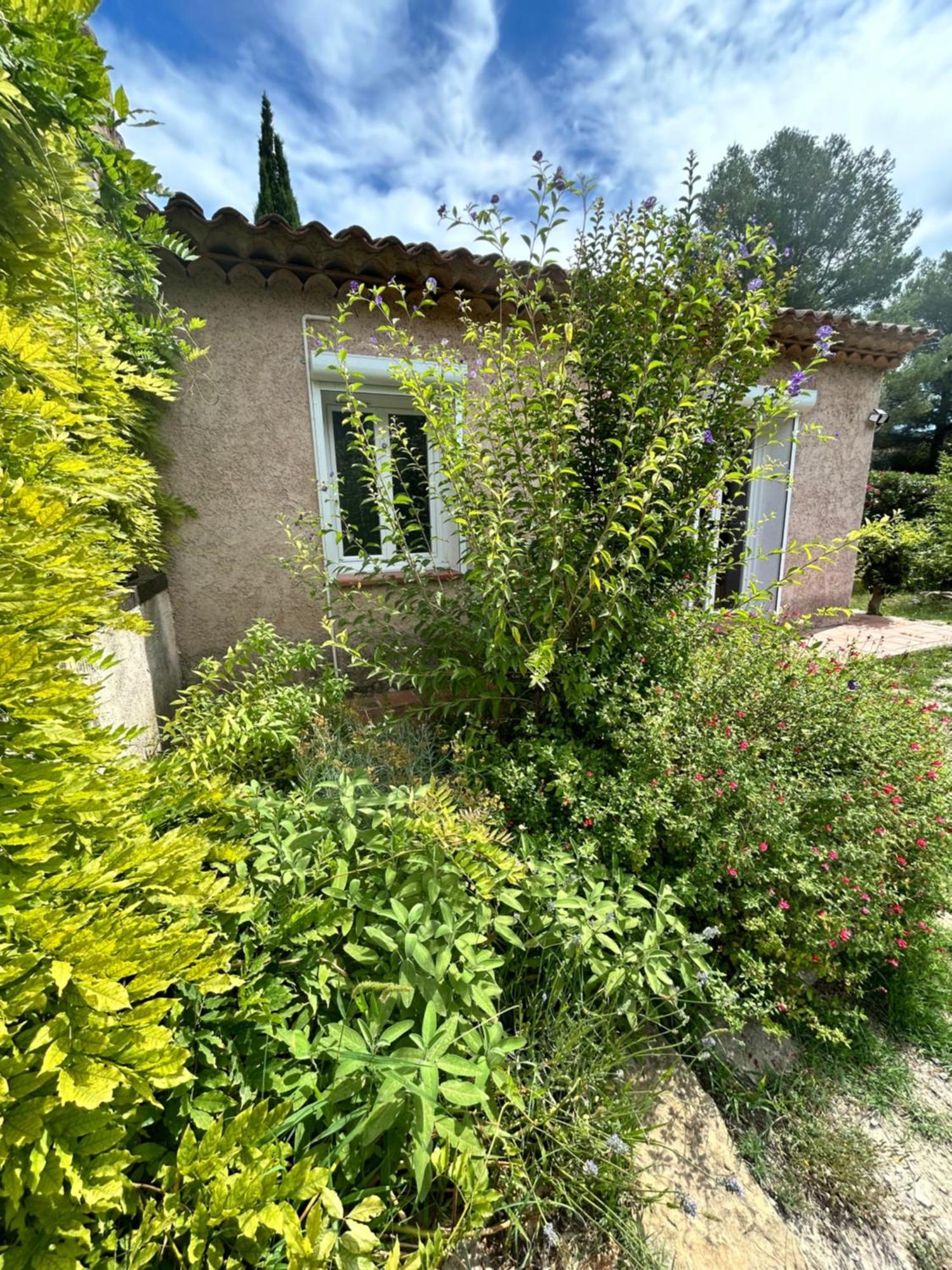 Villa De Charme En Campagne Avec Piscine Privee Et Nature Luxuriante Le Beausset Buitenkant foto