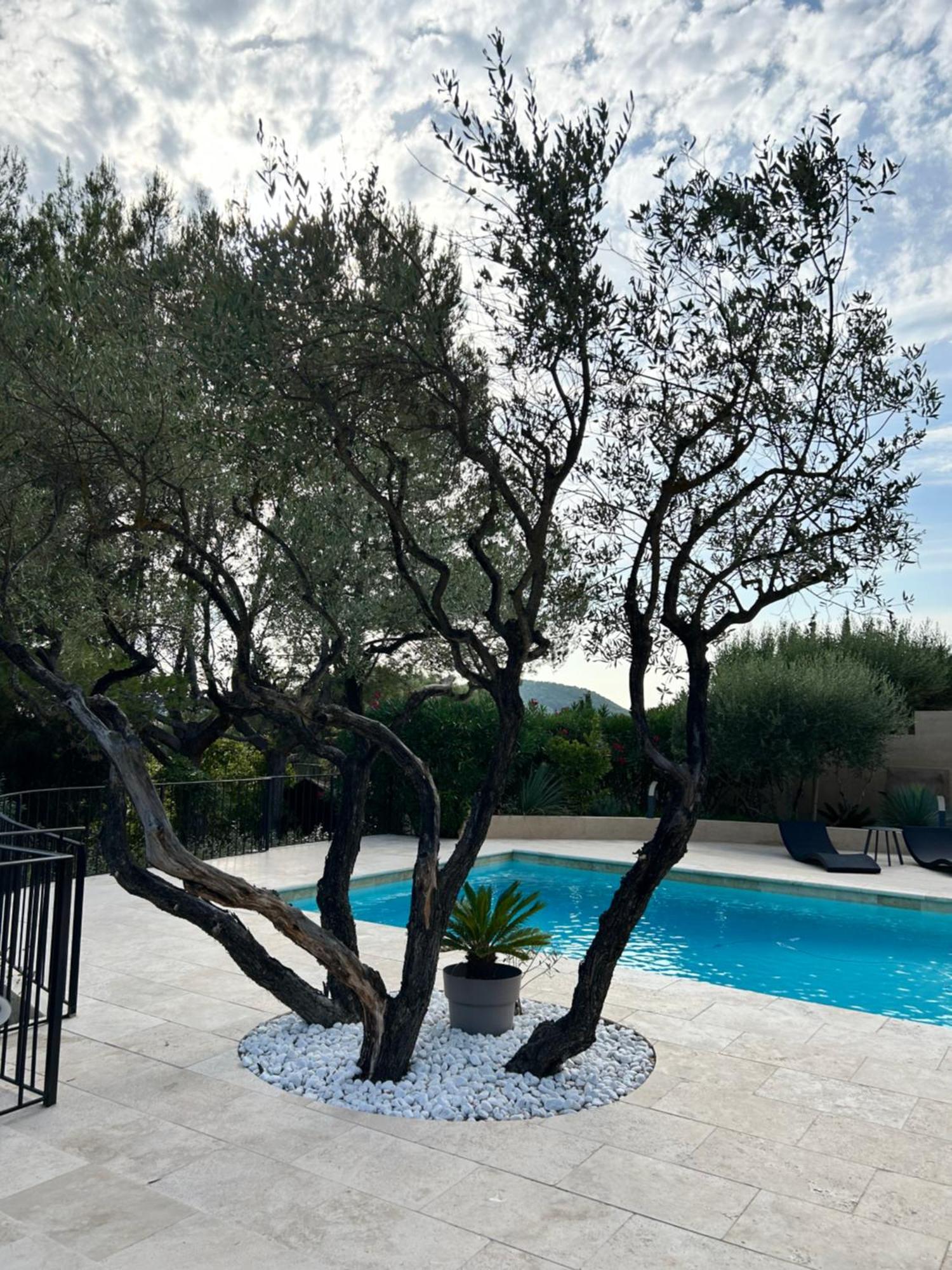 Villa De Charme En Campagne Avec Piscine Privee Et Nature Luxuriante Le Beausset Buitenkant foto